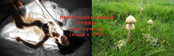 ПСИЛОЦИБИНОВЫЕ ГРИБЫ Абаза