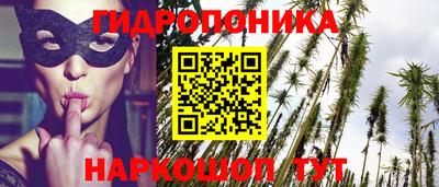 винт Пенза