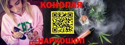 мдпв Партизанск