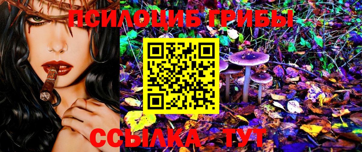 Галлюциногенные грибы Psilocybine cubensis  Вход с VPN  Псилоцибиновые грибы GOLDEN TEACHER  Серпухов 